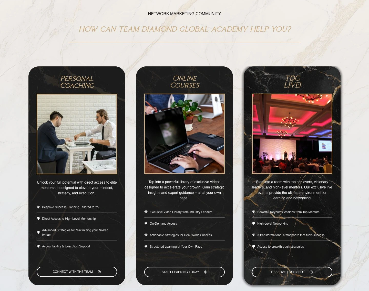Team Diamond Global — the Academy website and its three learning paths.