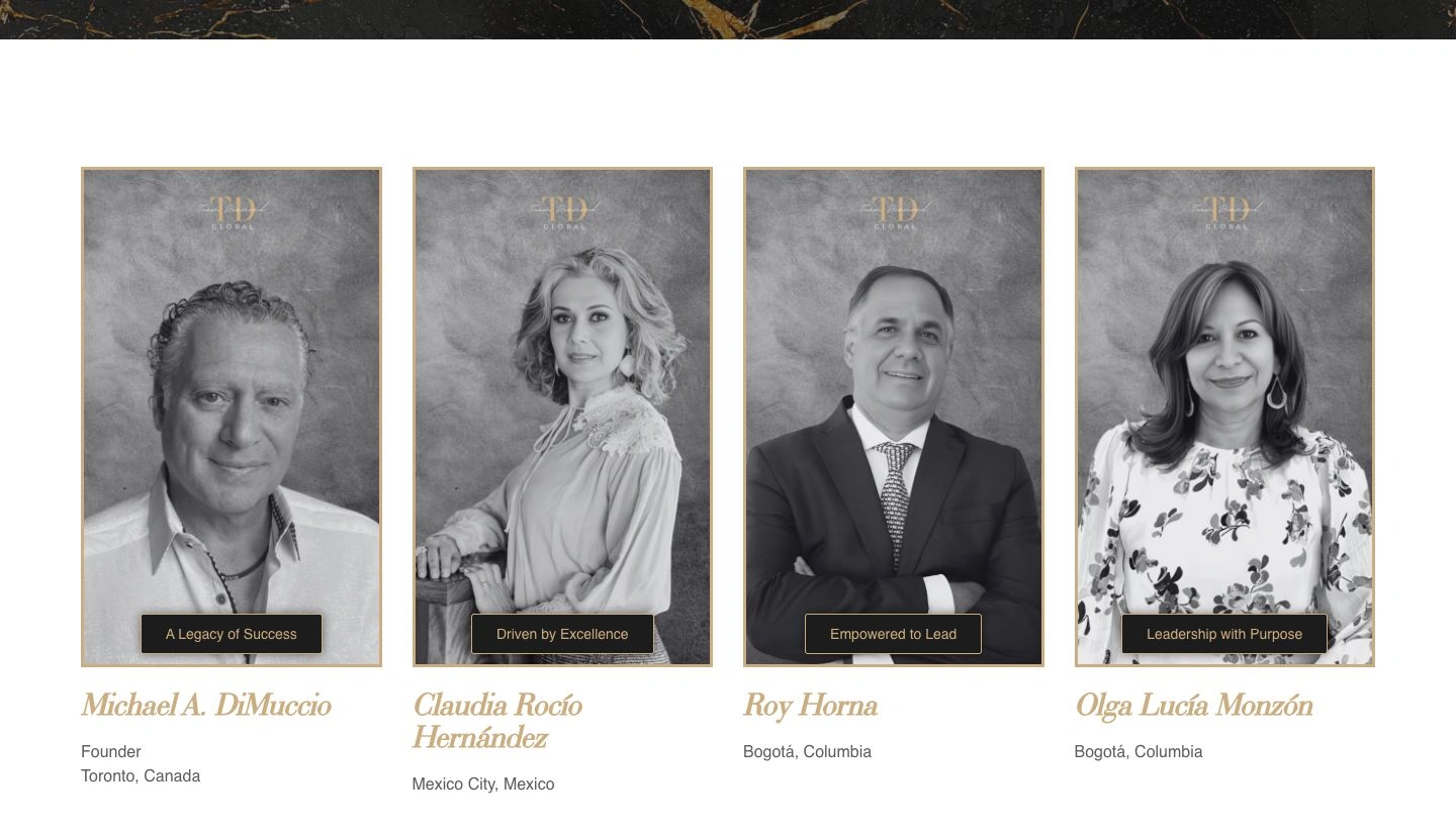 Team Diamond Global — the website leadership and membership experience.
